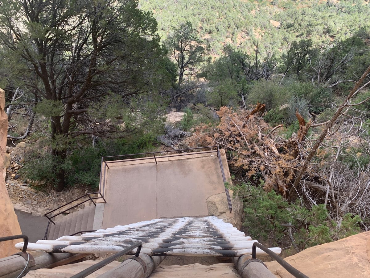 Day 13: Mesa Verde — photo 16