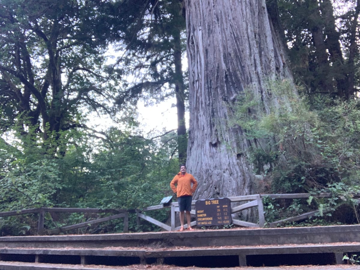 Day 38: Redwoods — photo 3