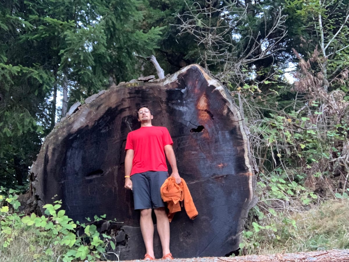 Day 38: Redwoods — photo 11