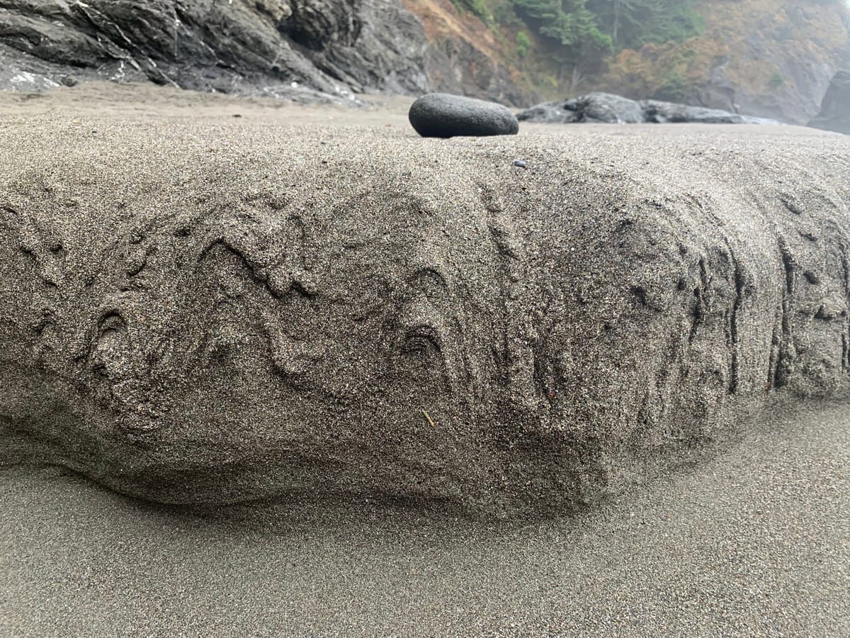 Days 39–40: SW Oregon Coast — photo 6