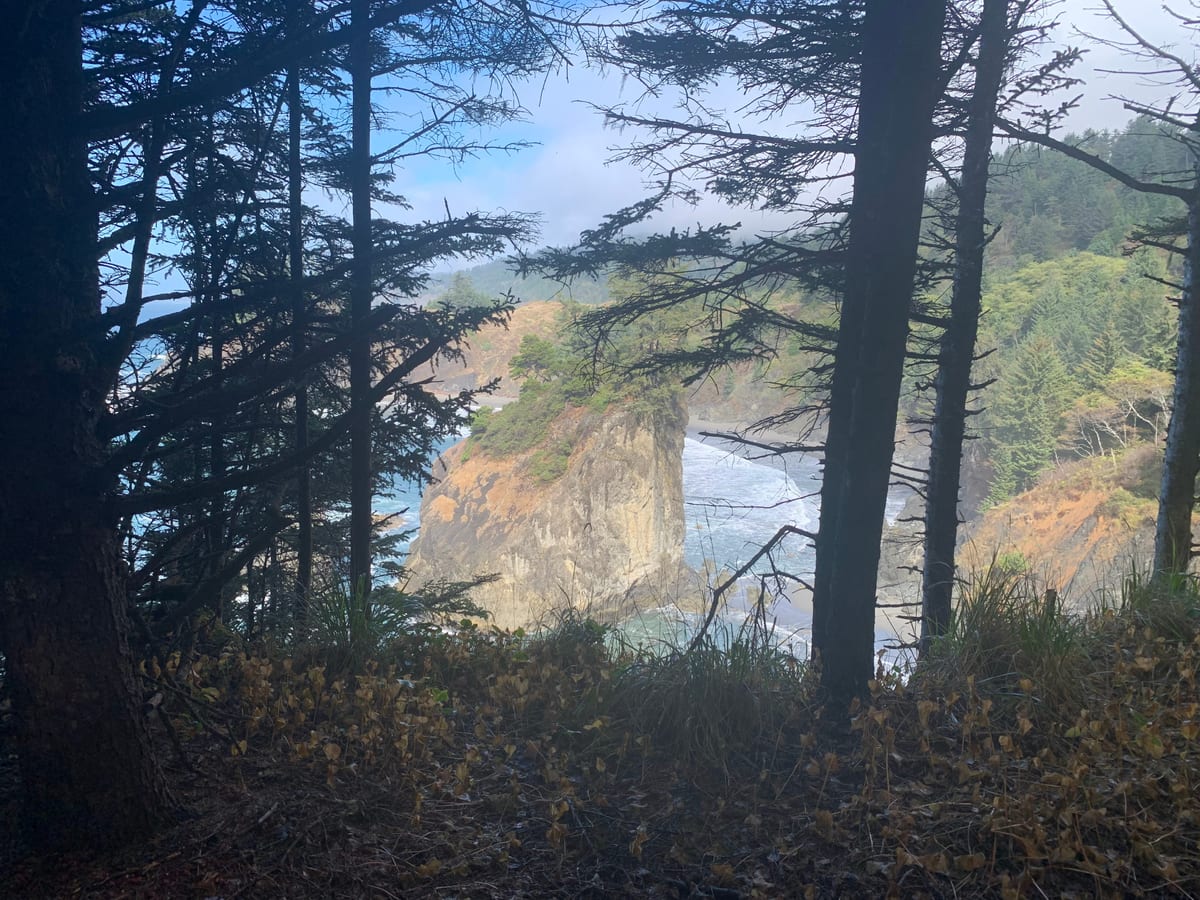 Days 39–40: SW Oregon Coast — photo 9
