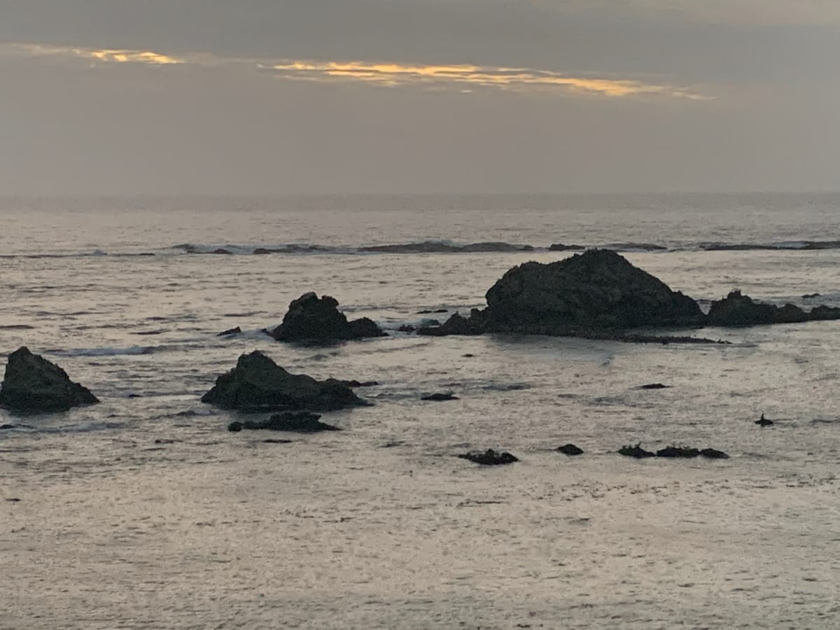 Days 39–40: SW Oregon Coast — photo 13