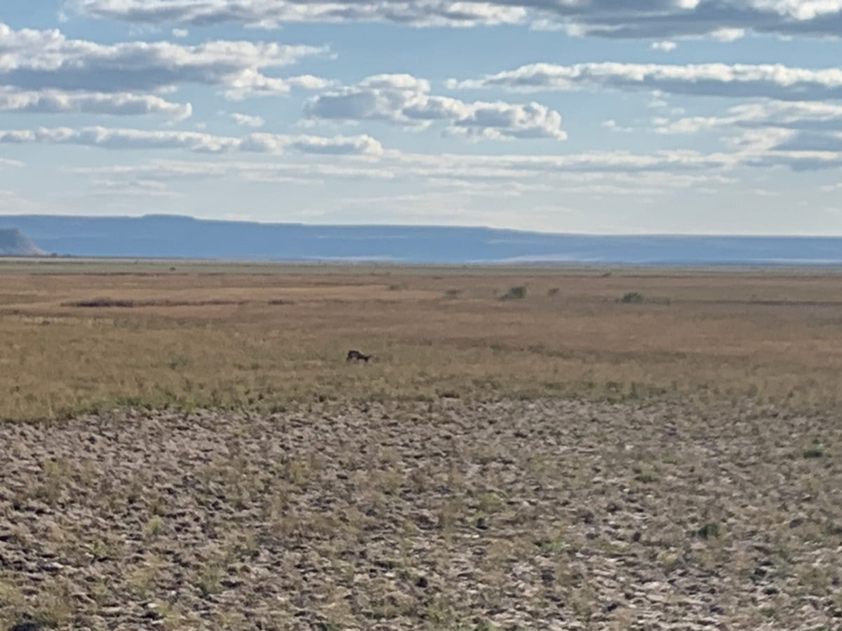 Day 4: John Day and Malheur Wildlife Refuge — photo 2