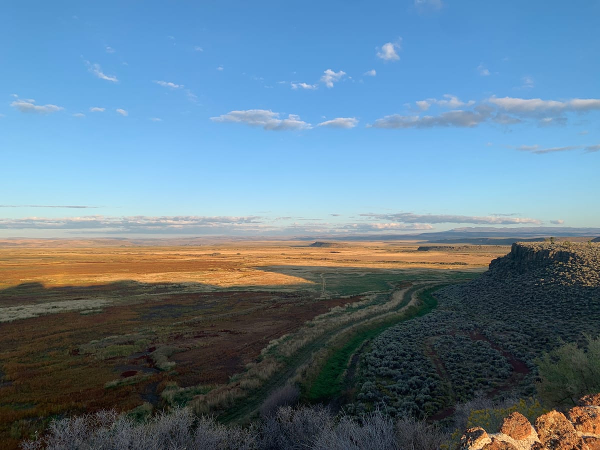 Day 4: John Day and Malheur Wildlife Refuge