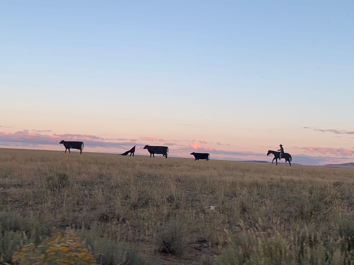 Day 5: Steens Mountain and the Alvord Desert — photo 2