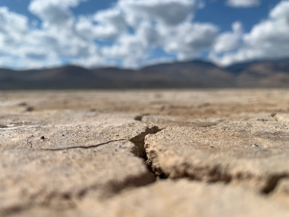 Day 5: Steens Mountain and the Alvord Desert — photo 27