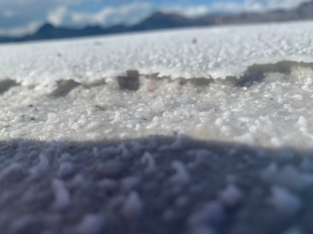 Day 6: Salt Flats — photo 4