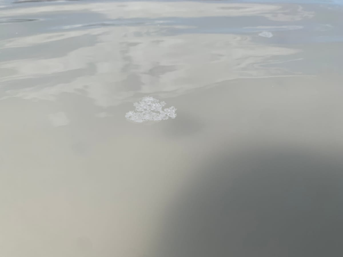 Day 6: Salt Flats — photo 5