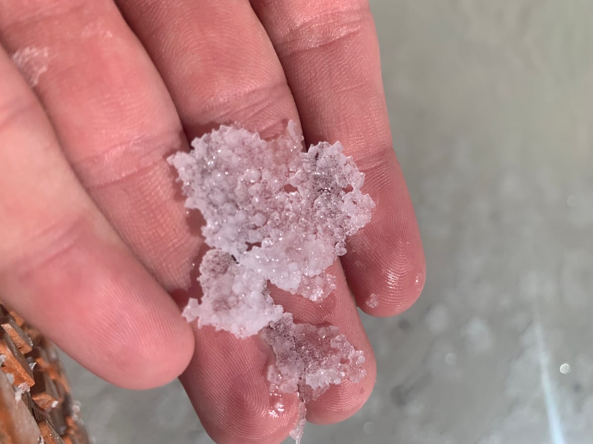 Day 6: Salt Flats — photo 13