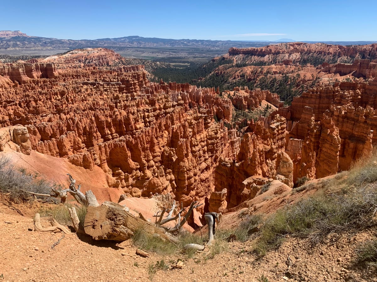 Day 7: Bryce Canyon