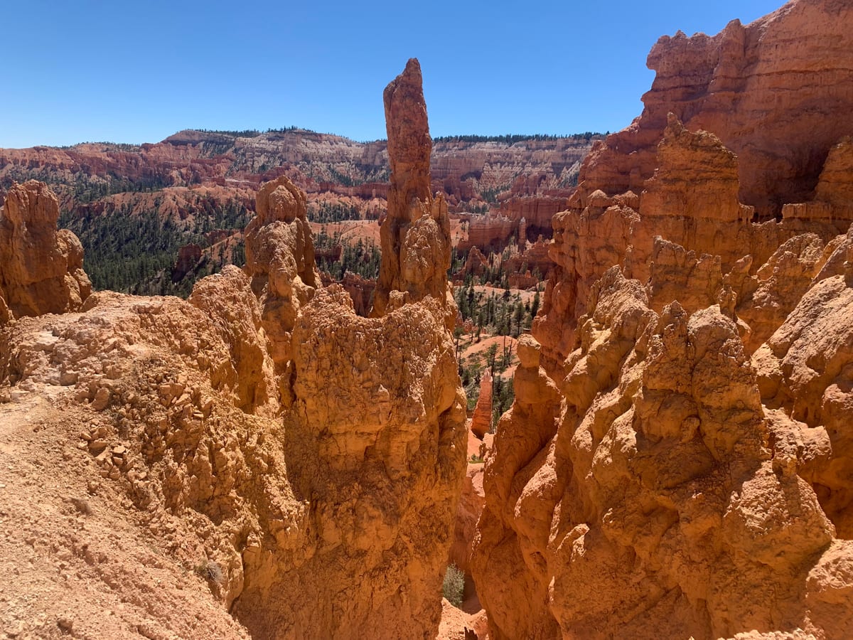 Day 7: Bryce Canyon — photo 11