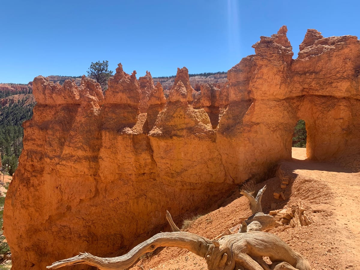 Day 7: Bryce Canyon — photo 15