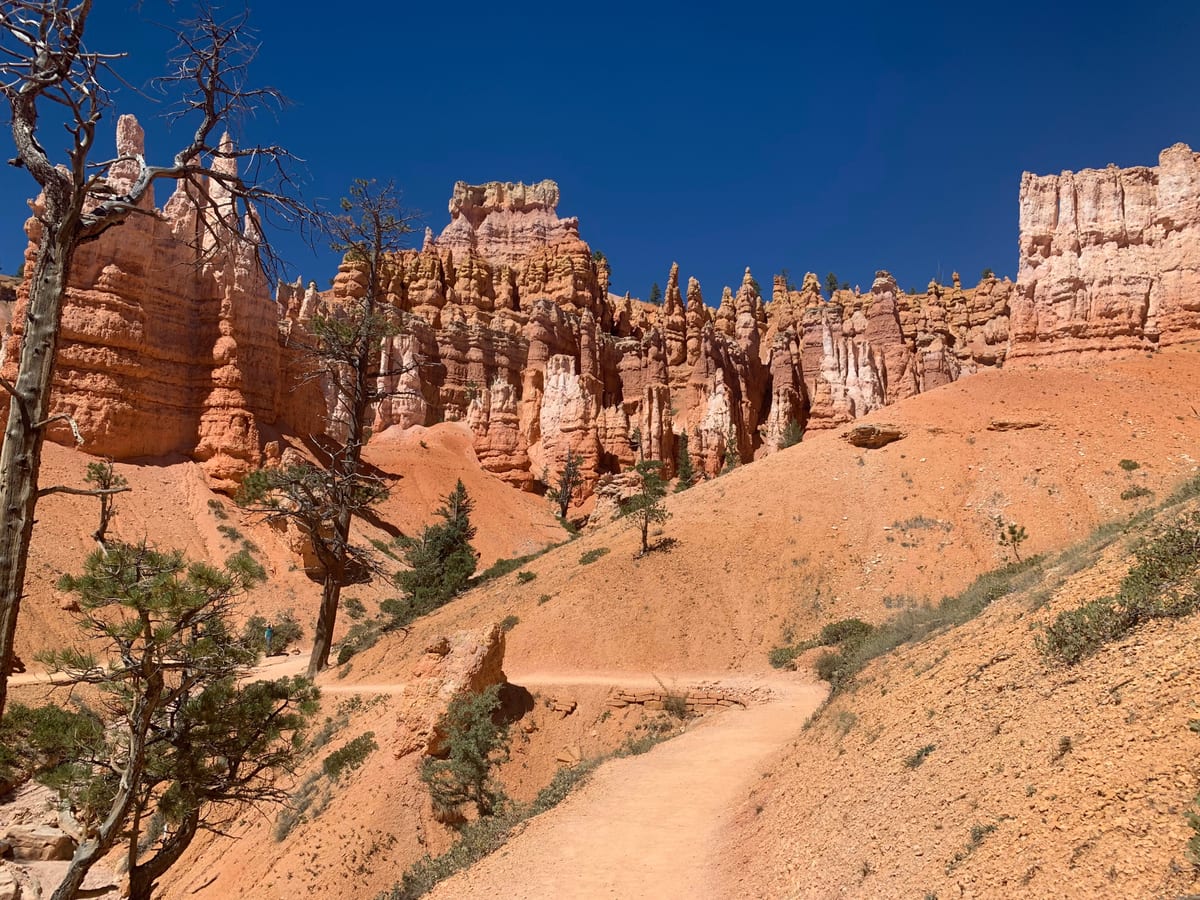 Day 7: Bryce Canyon — photo 16
