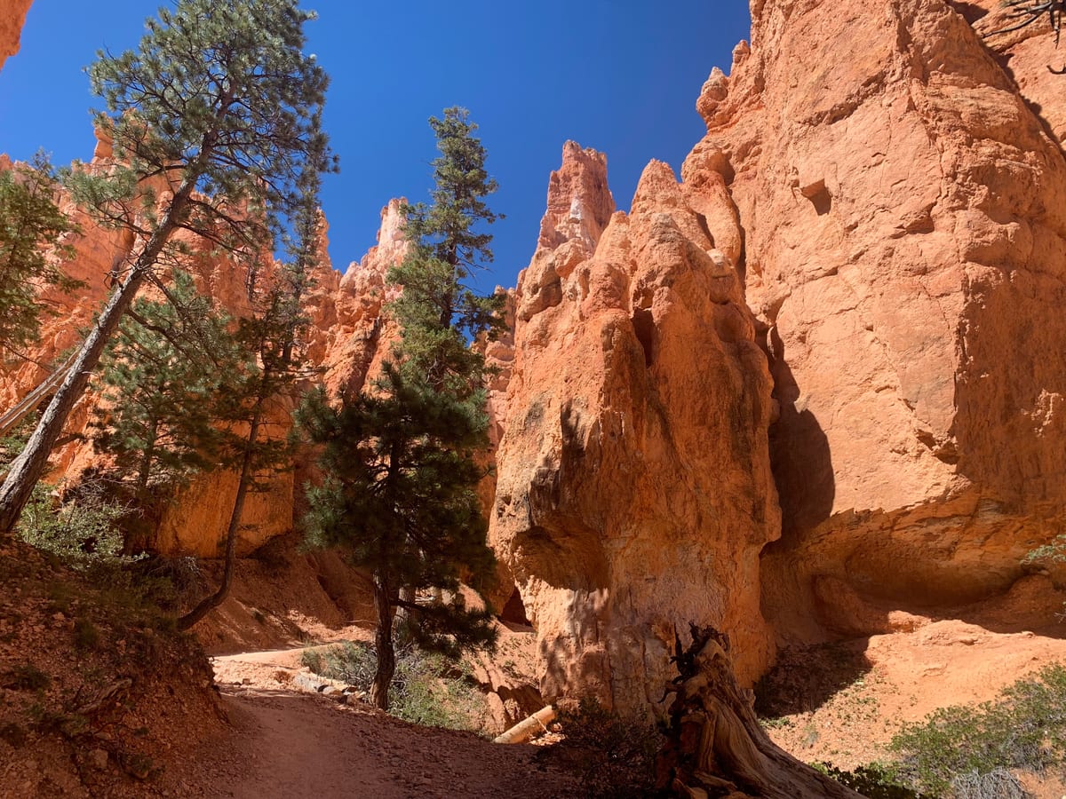 Day 7: Bryce Canyon — photo 18