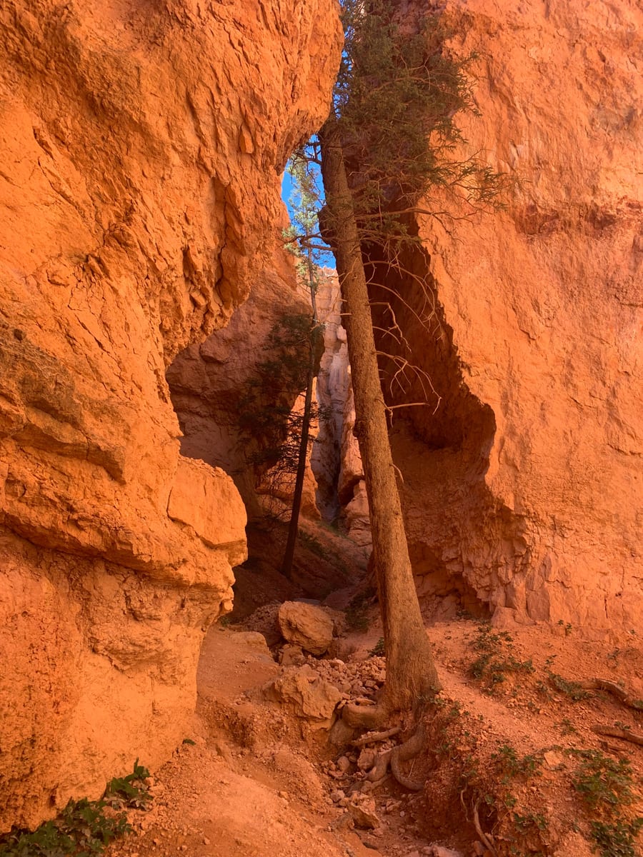 Day 7: Bryce Canyon — photo 19