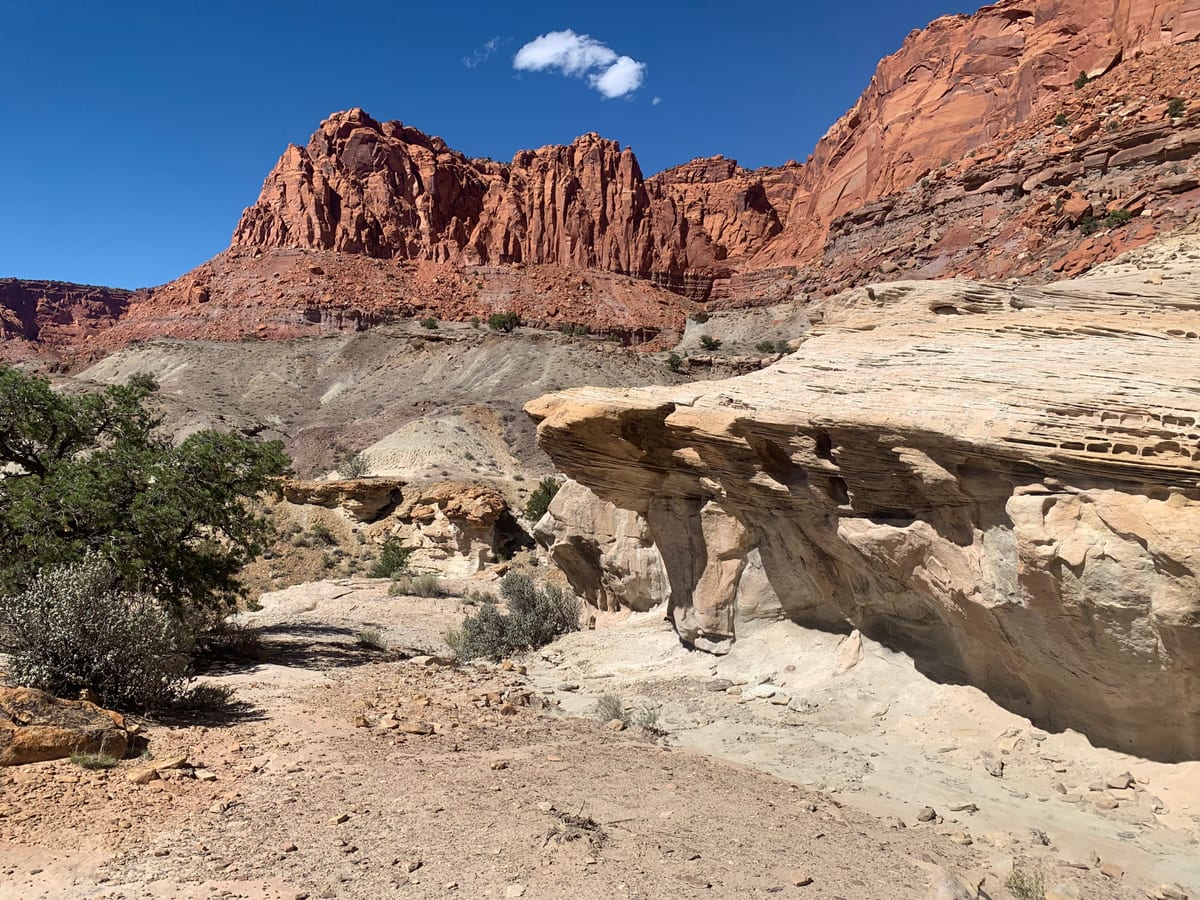 Day 8: Capitol Reef — photo 3