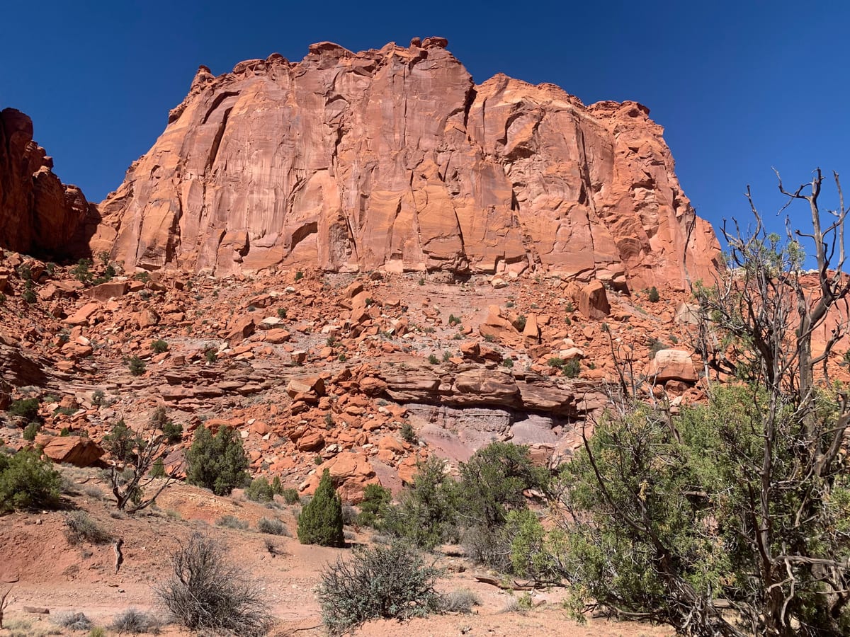 Day 8: Capitol Reef — photo 4