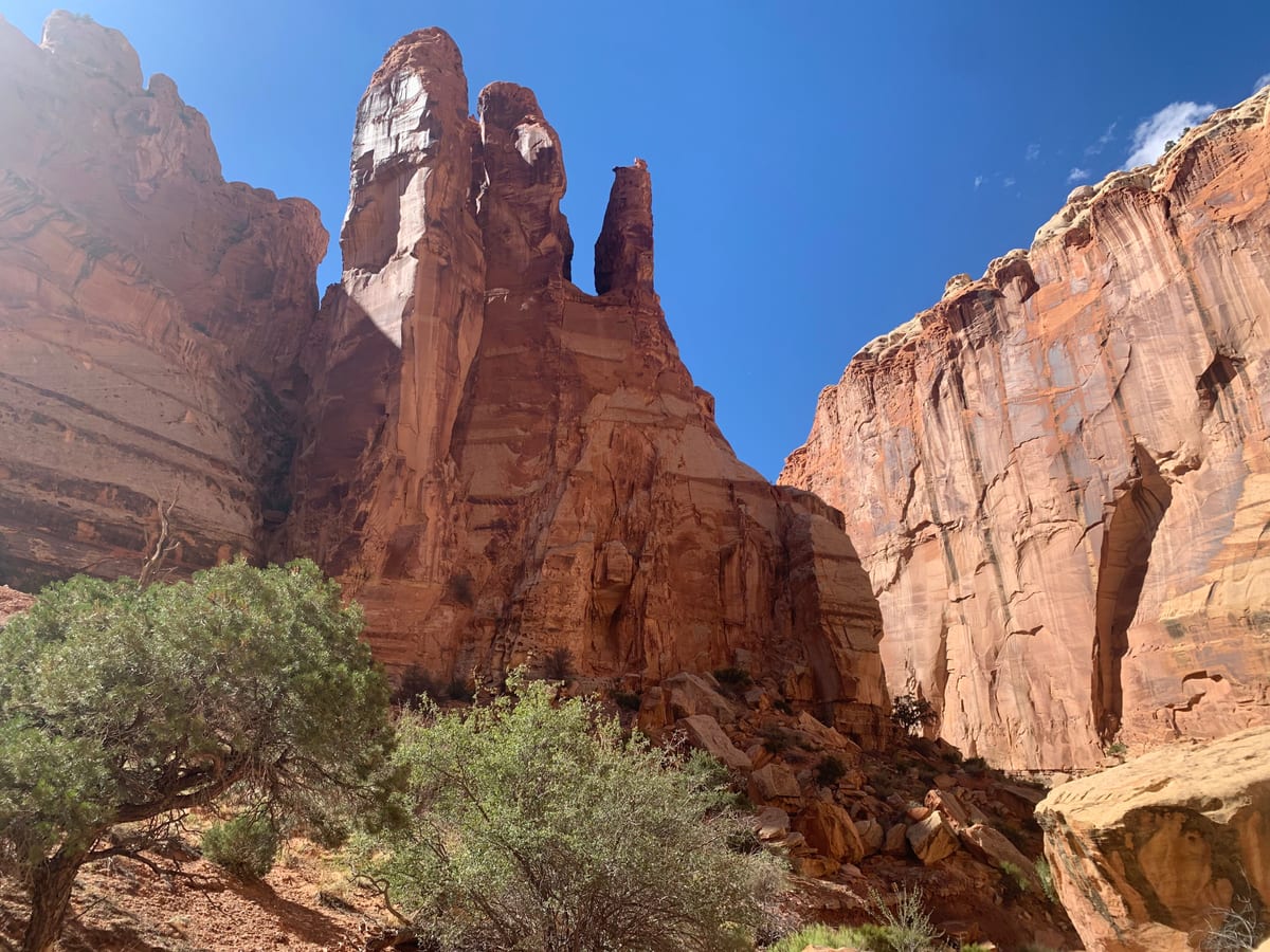 Day 8: Capitol Reef — photo 5