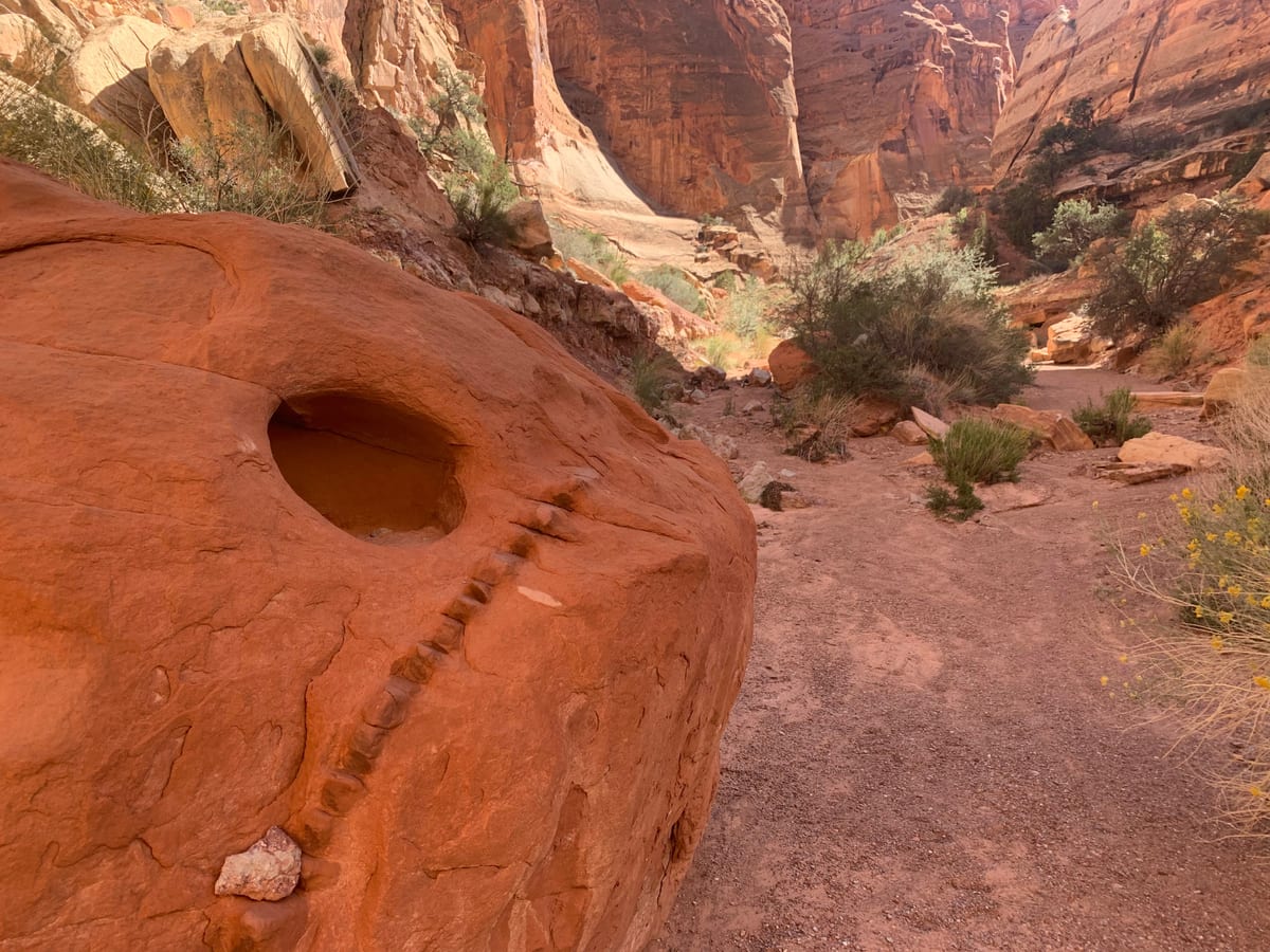 Day 8: Capitol Reef — photo 6