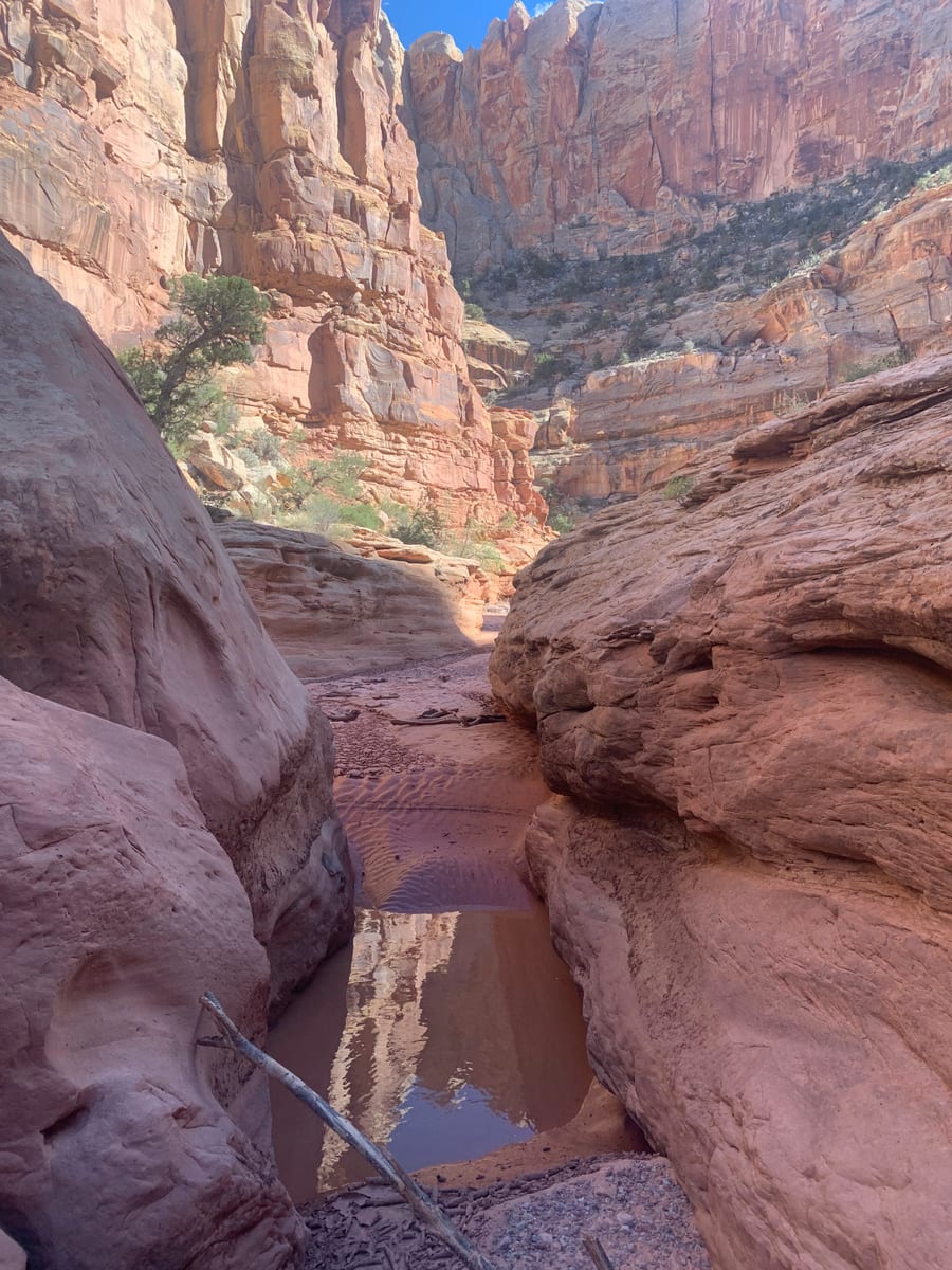 Day 8: Capitol Reef — photo 8
