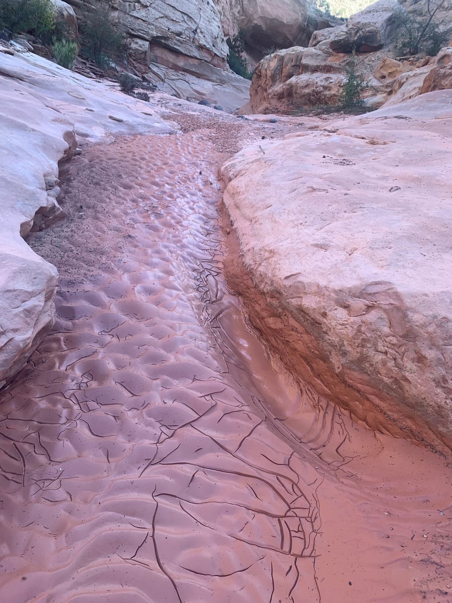 Day 8: Capitol Reef — photo 9