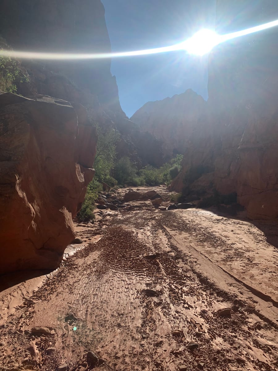 Day 8: Capitol Reef — photo 12