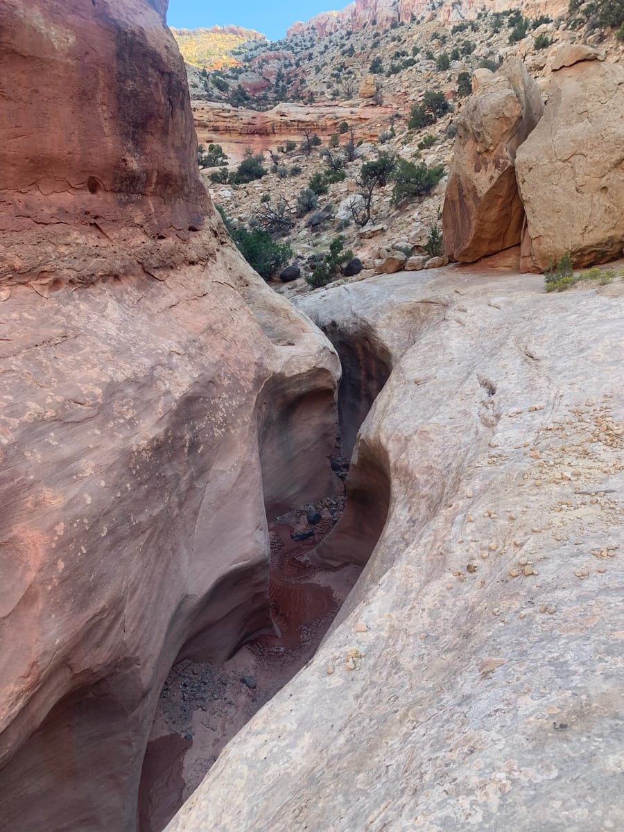 Day 8: Capitol Reef — photo 16