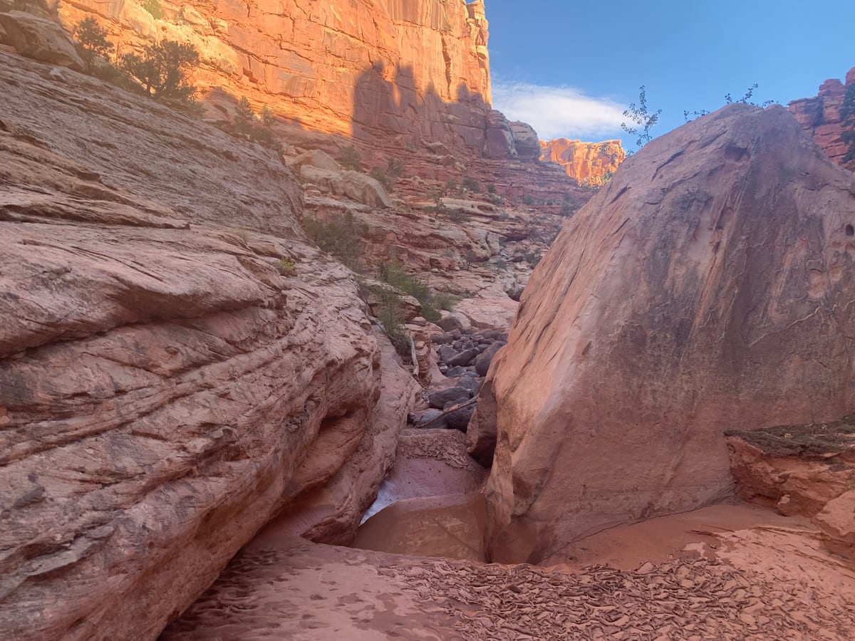 Day 8: Capitol Reef — photo 17