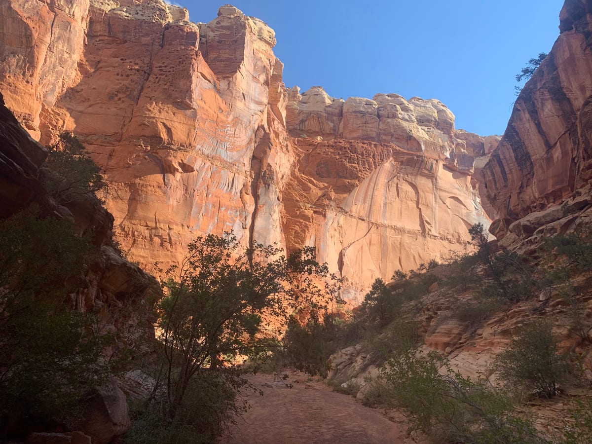 Day 8: Capitol Reef — photo 18
