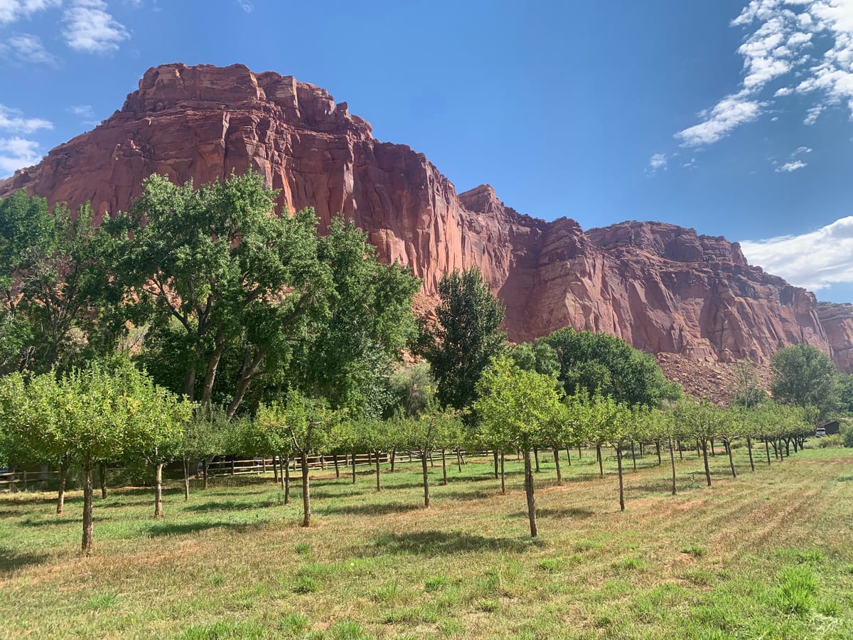 Day 8: Capitol Reef