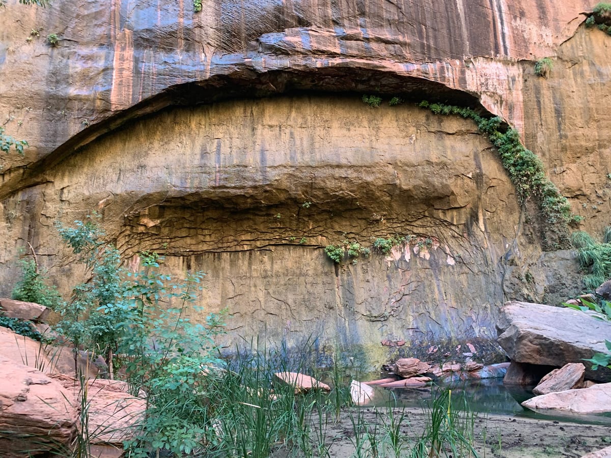 Days 9–11: Zion — photo 18