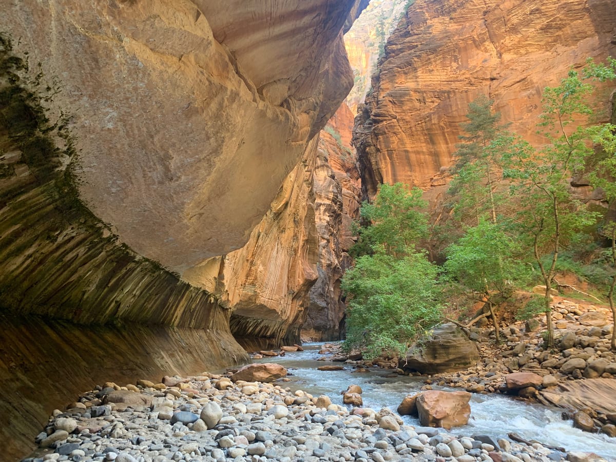Days 9–11: Zion — photo 21