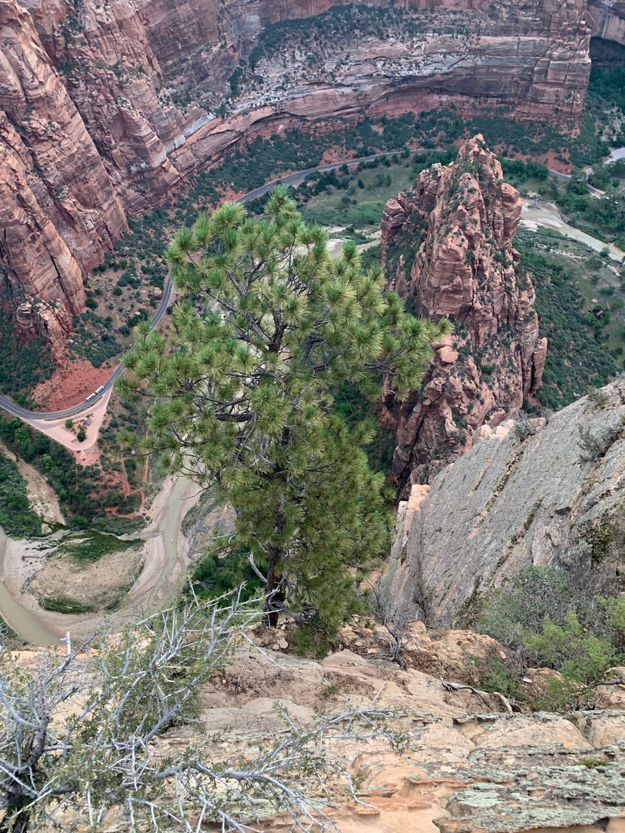 Days 9–11: Zion — photo 40