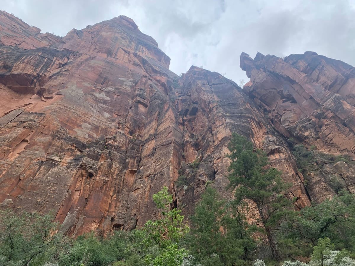 Days 9–11: Zion — photo 58