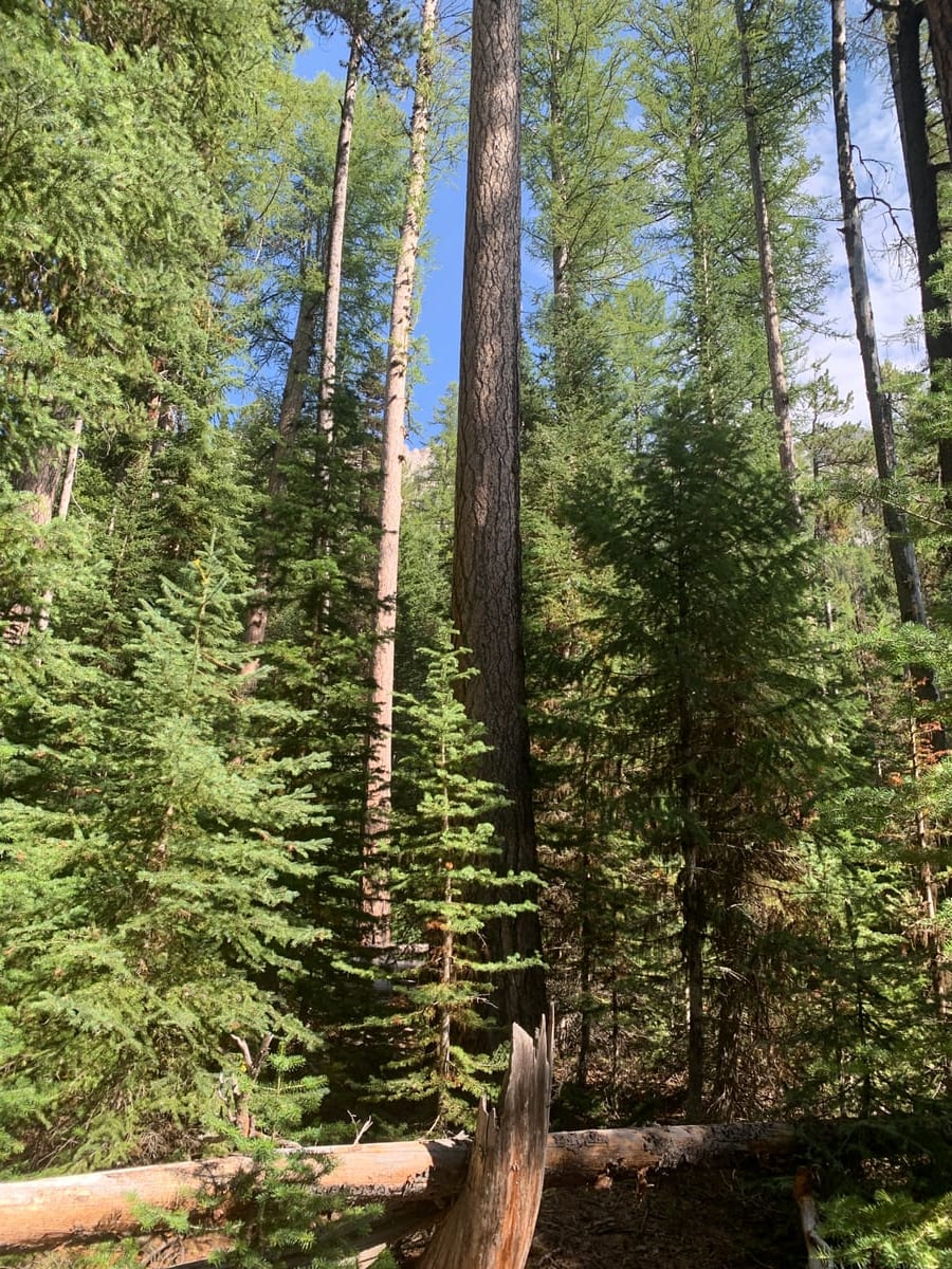 Days 1–3: Wallowas — photo 1