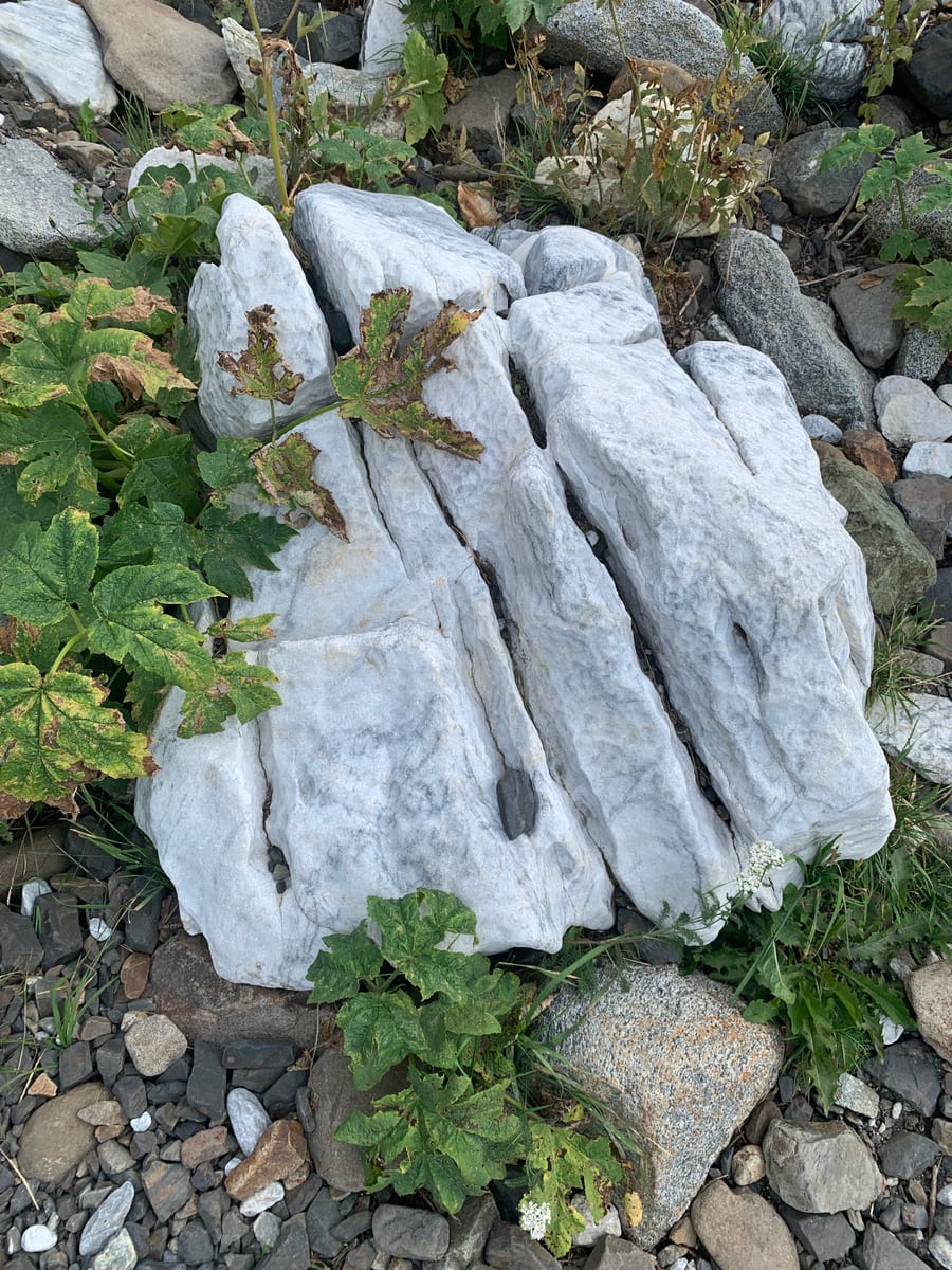 Days 1–3: Wallowas — photo 8